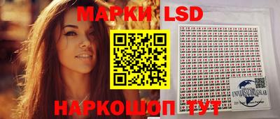 стафф Будённовск
