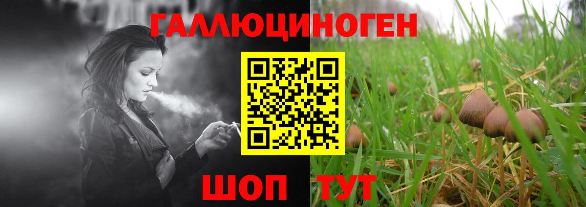 Псилоцибиновые грибы мицелий Санкт-Петербург